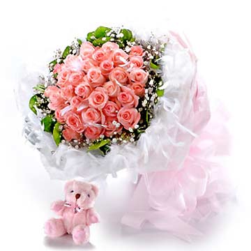 ��ϵ����