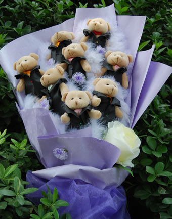 ������ͨ��������ͨ����-����������