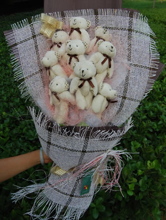 ��ƽ��ͨ������ֻ������