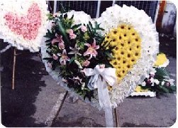 �ຣʡ�r��-���컨Ȧ