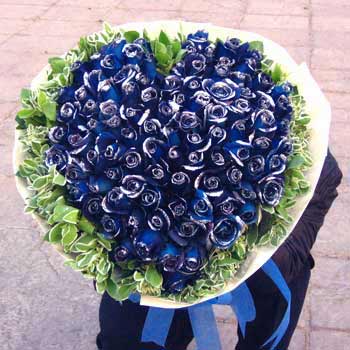 ����-�W(w��ng)�j(lu��)ӆ��