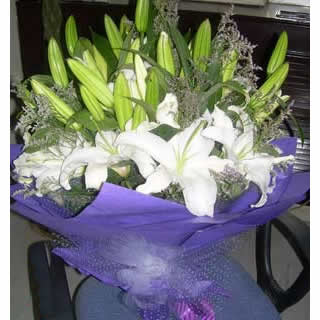 �r�����Q�� ��ŭ��  ���ă��ݣ����ġ����ϡ� 15֧��ɫ���^��ˮ�ٺ�
���������b�� ��ɫ�d�����b 
