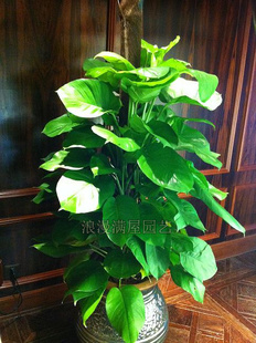 >�Gֲ�����~�G�}