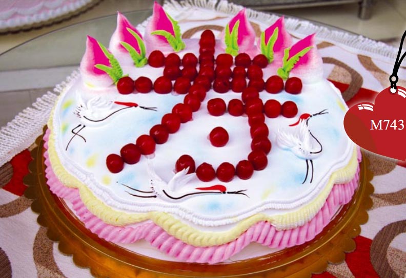 ԣ�񵰸�꣺�F�۟o�O