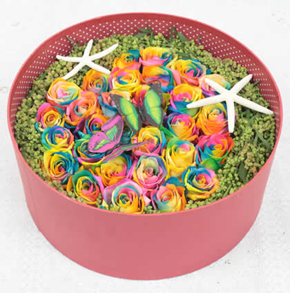 ����|�����������ʺ�õ�� ����Đ�