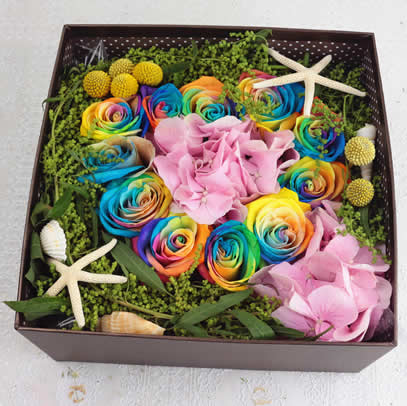 ����|�����������ʺ�õ�� ���һ��