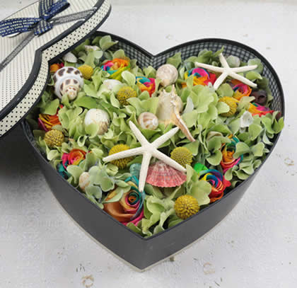 ����|�����������ʺ�õ�� ����ȥ��