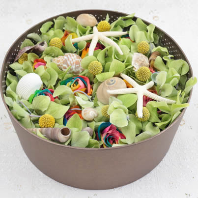 �Q����ɽ�^���������ʺ�õ�� �۵ĺ��o