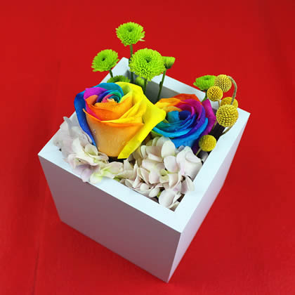 ����|�����������ʺ�õ�� ���һ��