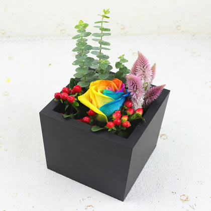 ����|�����������ʺ�õ�� �������Q