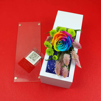 �Ϻ����t�^���������ʺ�õ�� ������Ҋ