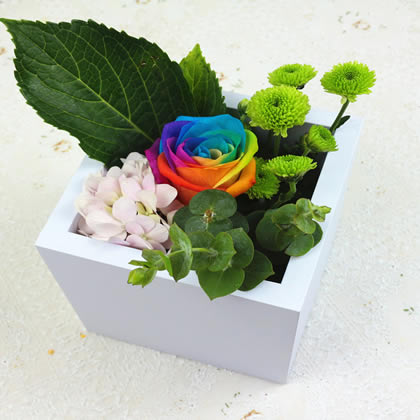 �Q����ɽ�^���������ʺ�õ�� �۵�����