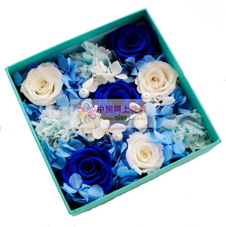 �Ϻ����t�^���r�������r�� ��˶���