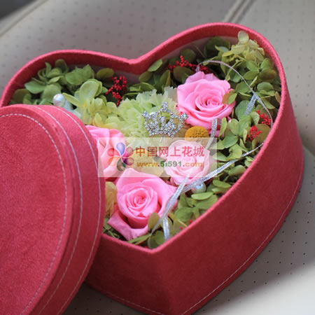 �K�ݱ��r�������r�� ��������