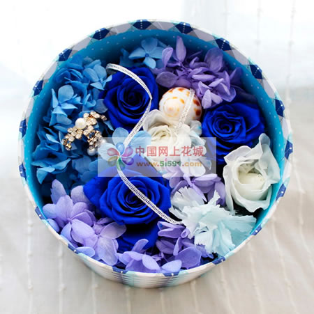 ���ڱ��r�������r�� �D����