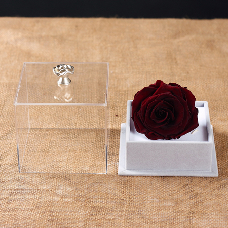 ���ֱ��r�������r�� �ζ���t