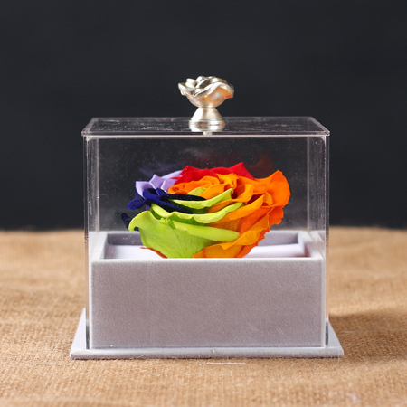 ��ɽ���r�������r�� �ζ�ʺ�