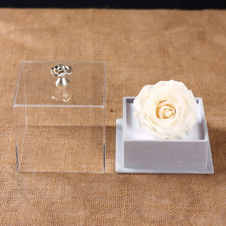 �������Ѕ^���r�������r�� �ζ��