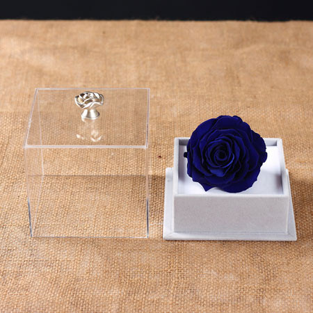 �K�ݱ��r�������r�� �ζ��{