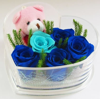 �Q����ɽ�^(q��)���r�������r�� �ĺ�5��