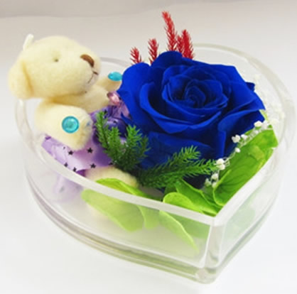 �����S�M�^���r�������r�� �ĺ�һ��