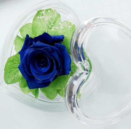 ��ꖱ��r�������r�� ���ĺ�һ��