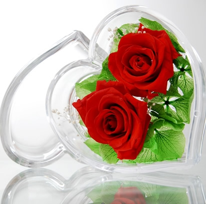 ���ݽ��Ʌ^���r�������r�� �ɻ�