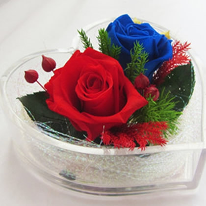 �K�ݱ��r�������r�� ���ĺЃɻ�