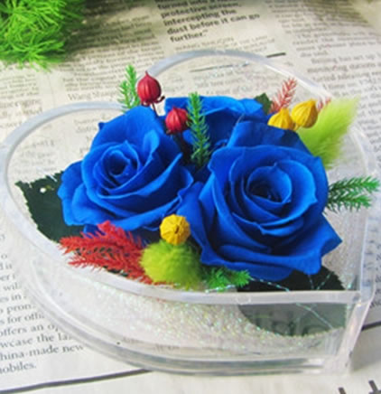 �V�ݺ���^���r�������r�� �ĺ�����