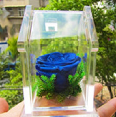 �Ϻ����t�^���r�������r�� ����С��