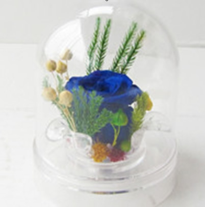 ��ƽ���r�������r�� �����