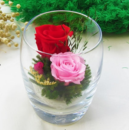 �Ϻ����t�^���r�������r�� �������