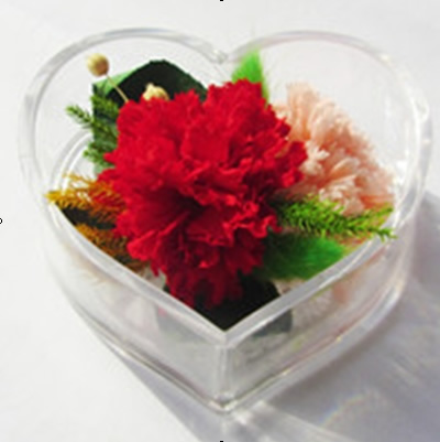 ��ꎱ��r�������r�� ����ܰ�ɻ�