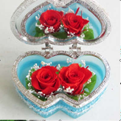 ��ꖷ���h���r�������r�� �R�л��ɻ�