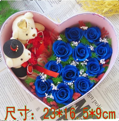 �V�ݺ���^���r�������r�� ���ĺ�11��