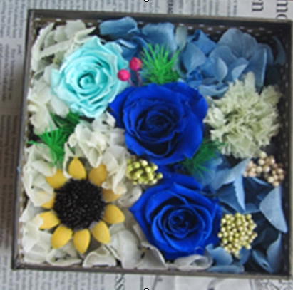 ���ڱ��r�������r�� �Y��3��