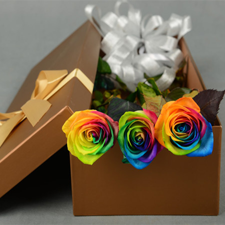 ����|�����������ʺ�õ��-����