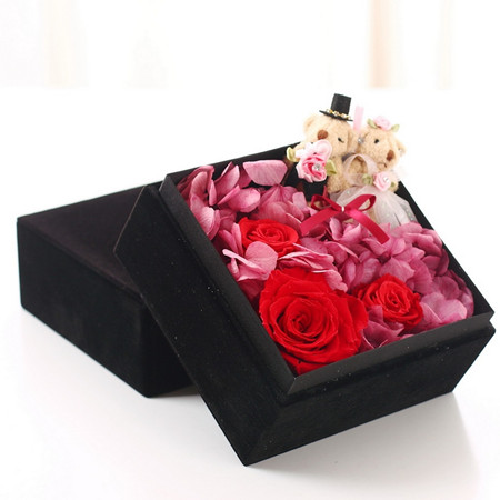 �Ϻ����t�^���r�������r��-�۲���� �tõ��