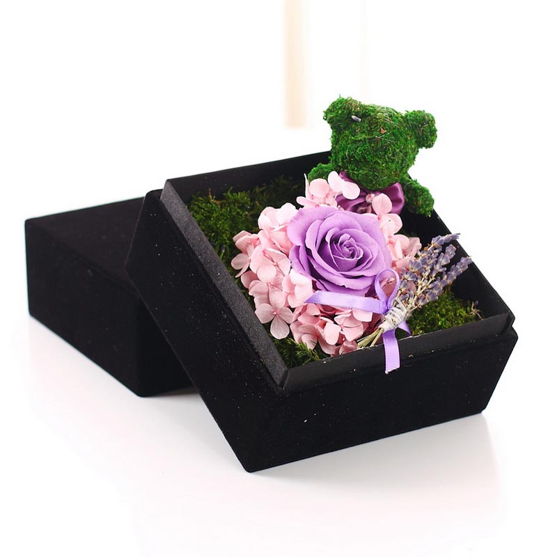 Т��Т�υ^���r�������r��-���