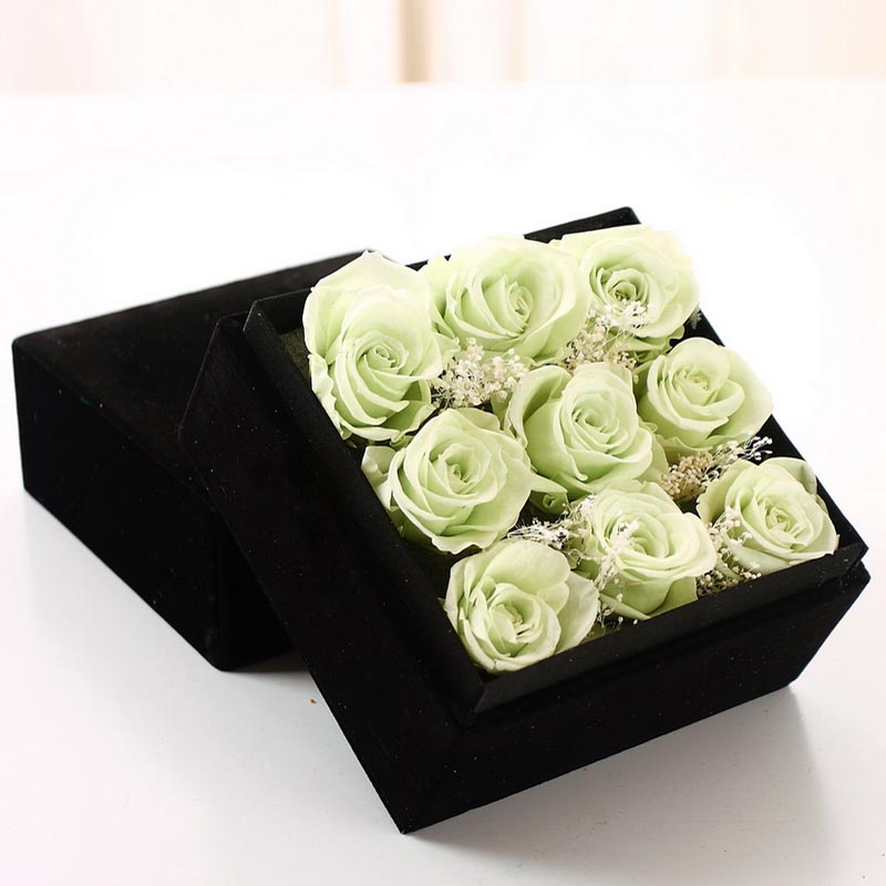 �V�ݺ���^���r�������r��-�Ŷ���õ��