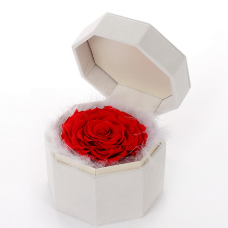 �Q����ɽ�^(q��)���r�������r�� �ζ�tõ��