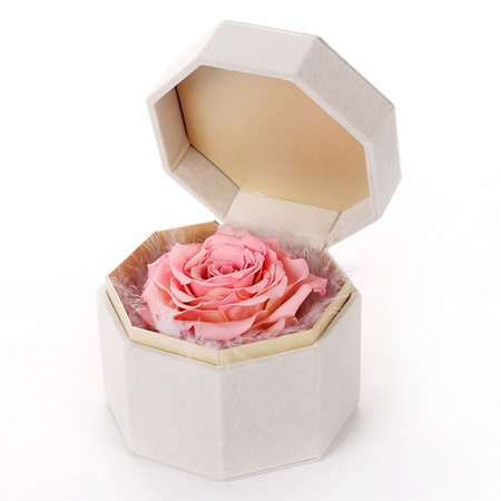 �������Ѕ^���r�������r�� �ζ��õ��