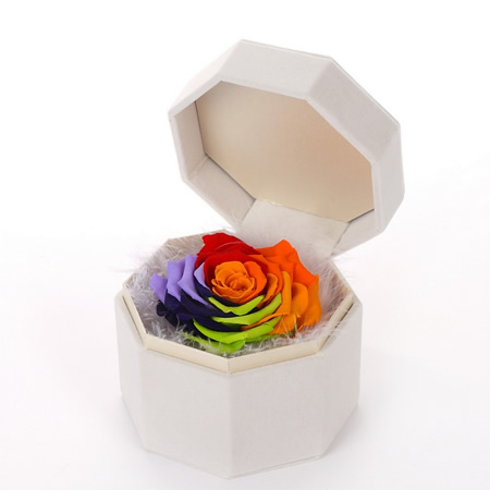 �������r�������r�� �ζ��߲�