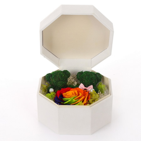 ���ݽ��Ʌ^���r�������r�� 2ֻС̖̦�\��