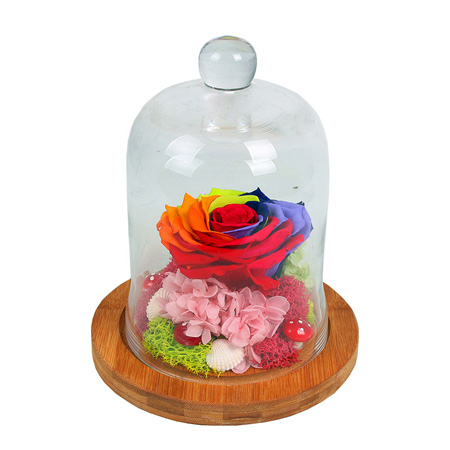 �Ϻ����t�^�������������� �l�F��