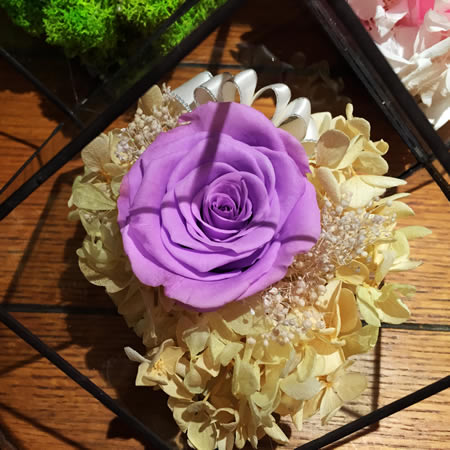 �V�ݺ���^���r�������r�� BX112