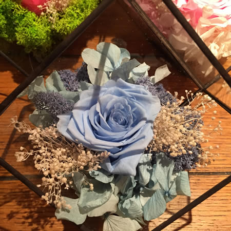 �Ͼ����υ^���r�������r�� BX114