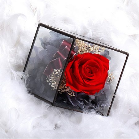 ���ֱ��r�������r�� BX116