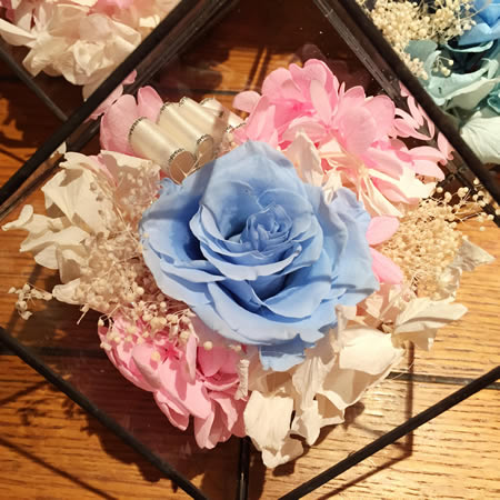 �Q����ɽ�^(q��)���r�������r�� BX117