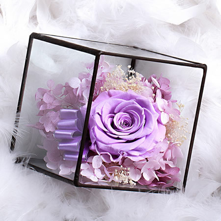 ���ݬ����^���r�������r�� BX110